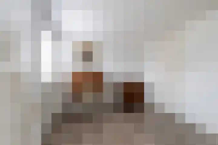 Stormvogel 5 Monster thumbnail 34