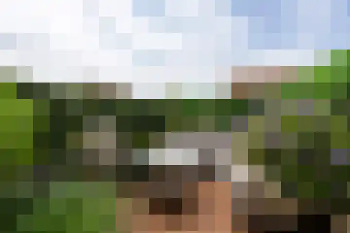 Stormvogel 5 Monster thumbnail 37