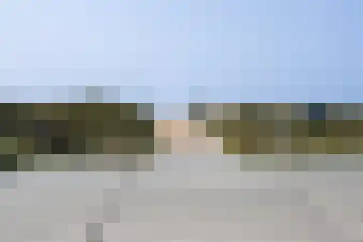 Stormvogel 5 Monster thumbnail 38