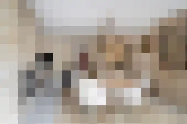 Stormvogel 5 Monster thumbnail 5
