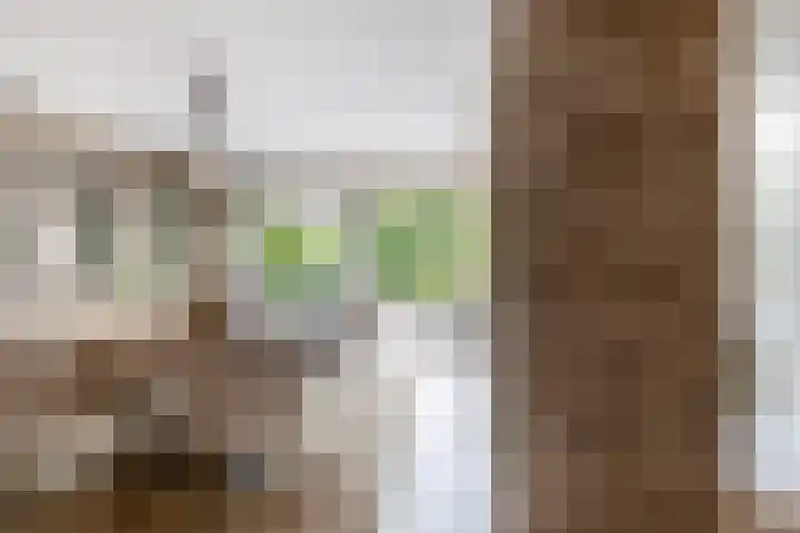 Stormvogel 5 Monster thumbnail 9