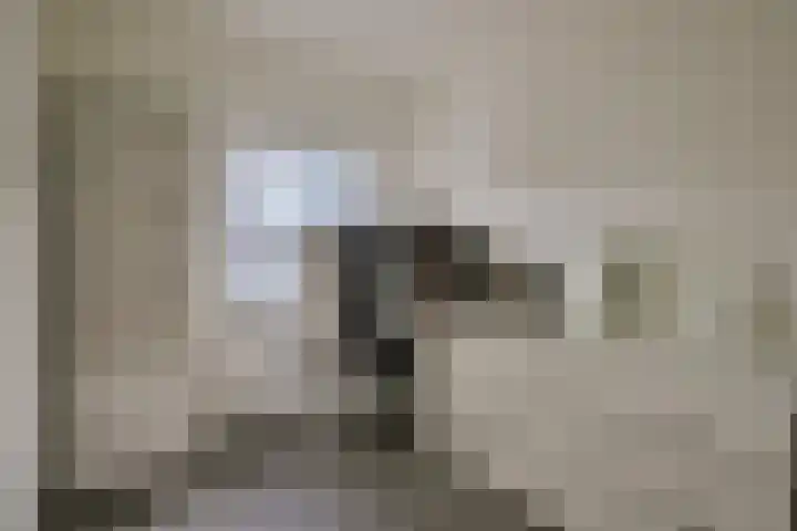 Stormvogelhof 1 Nuenen thumbnail 18