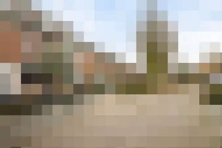 Stormvogelhof 1 Nuenen thumbnail 30