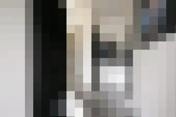 Stormvogelhof 1 Nuenen thumbnail 4