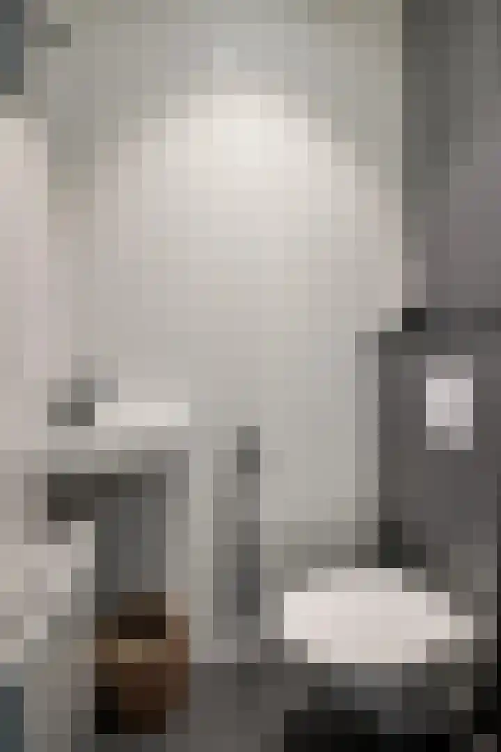 Stormvogelhof 1 Nuenen thumbnail 5