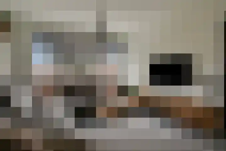 Stormvogelhof 1 Nuenen thumbnail 7