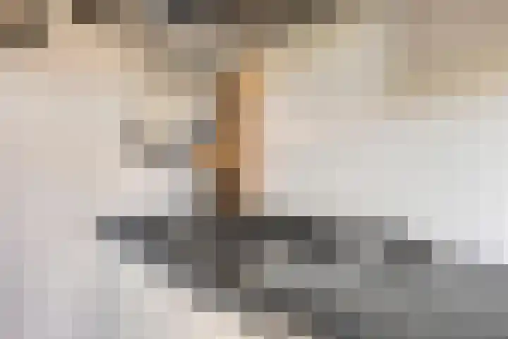 Stormvogelhof 12 Nuenen thumbnail 10