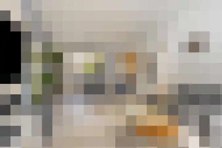 Stormvogelhof 12 Nuenen thumbnail 13