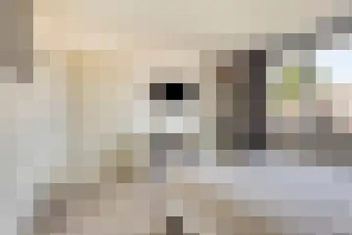 Stormvogelhof 12 Nuenen thumbnail 18