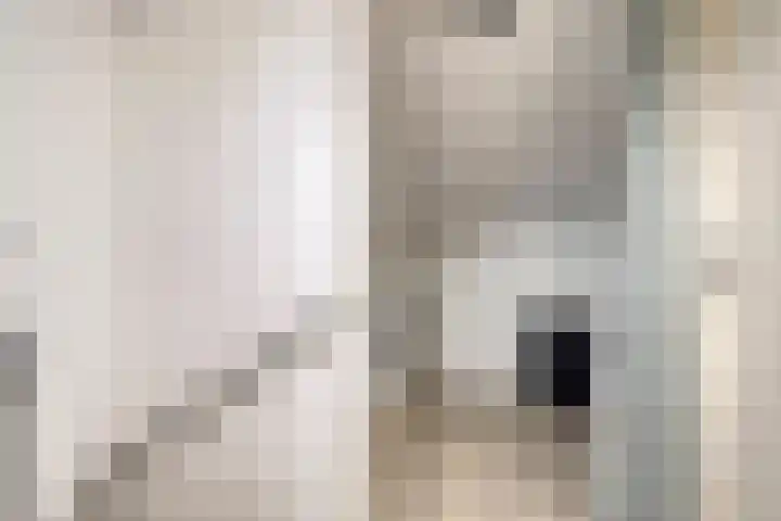 Stormvogelhof 12 Nuenen thumbnail 23