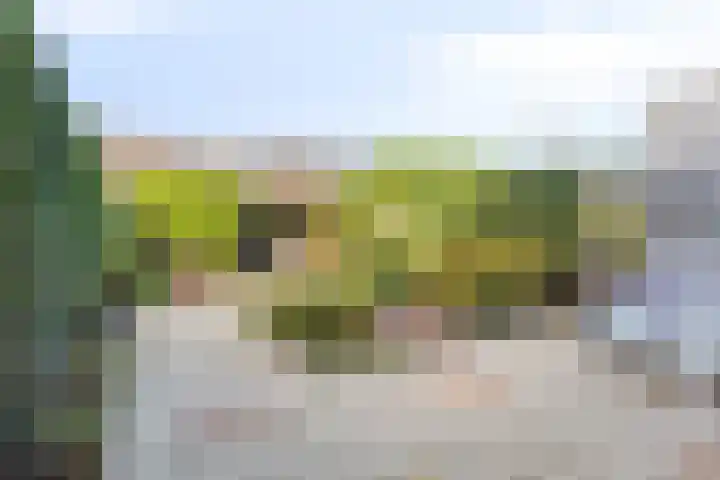 Stormvogelhof 12 Nuenen thumbnail 27