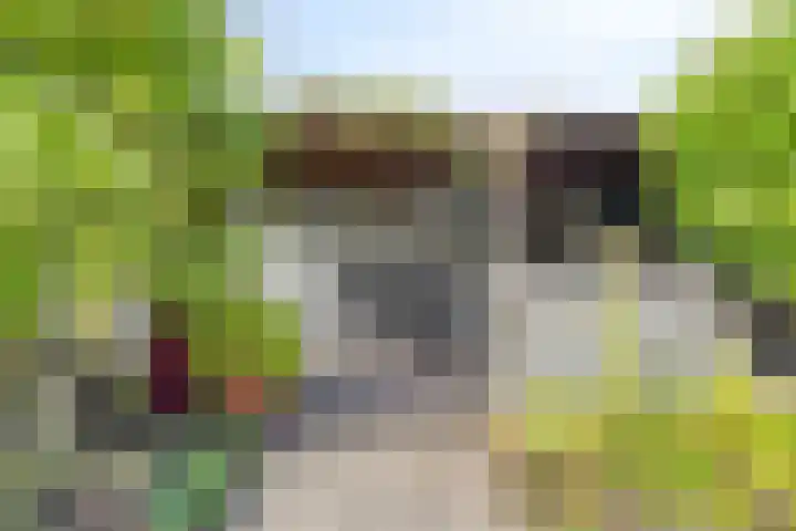 Stormvogelhof 12 Nuenen thumbnail 31