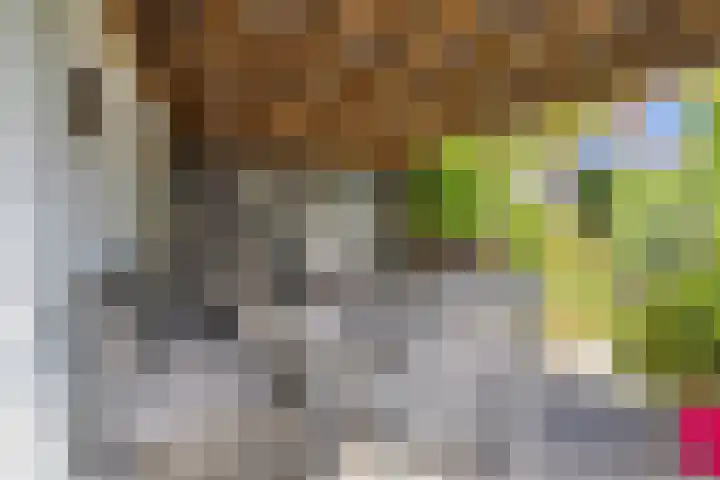 Stormvogelhof 12 Nuenen thumbnail 32