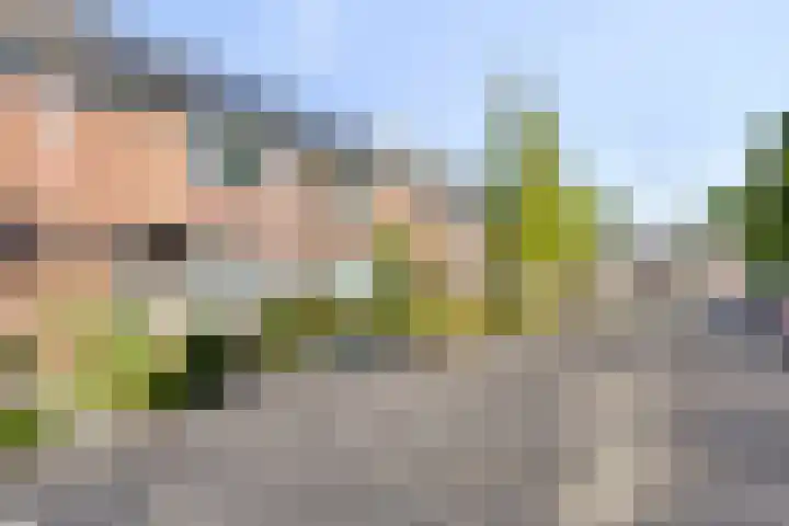 Stormvogelhof 12 Nuenen thumbnail 34