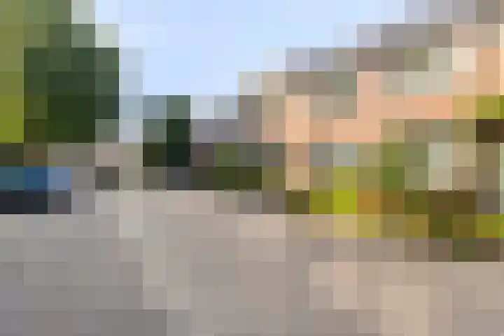 Stormvogelhof 12 Nuenen thumbnail 35