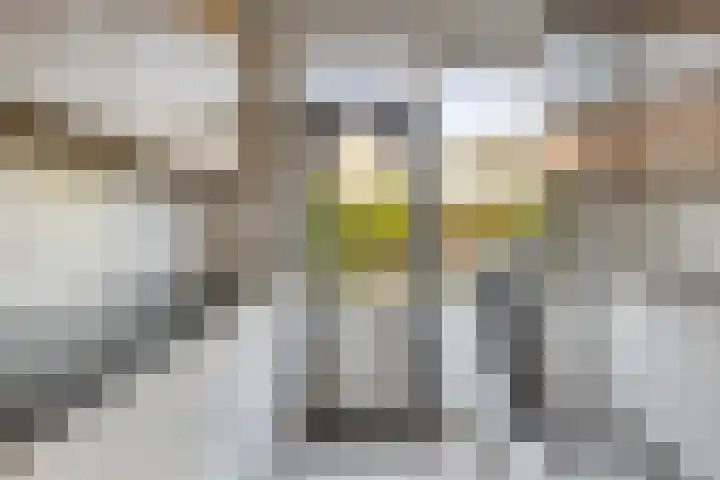 Stormvogelhof 12 Nuenen thumbnail 7