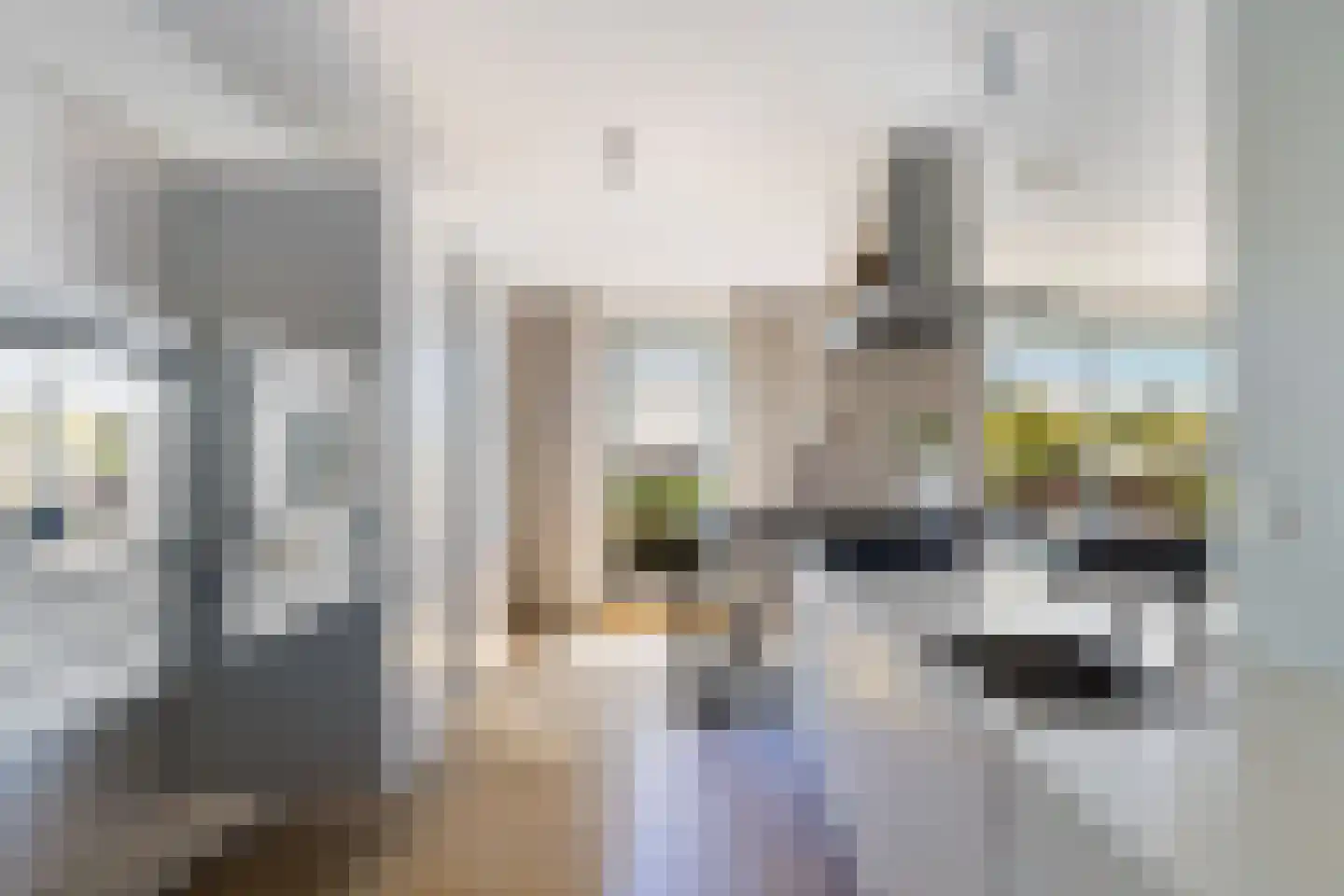 Stormvogelhof 13 Utrecht thumbnail 28
