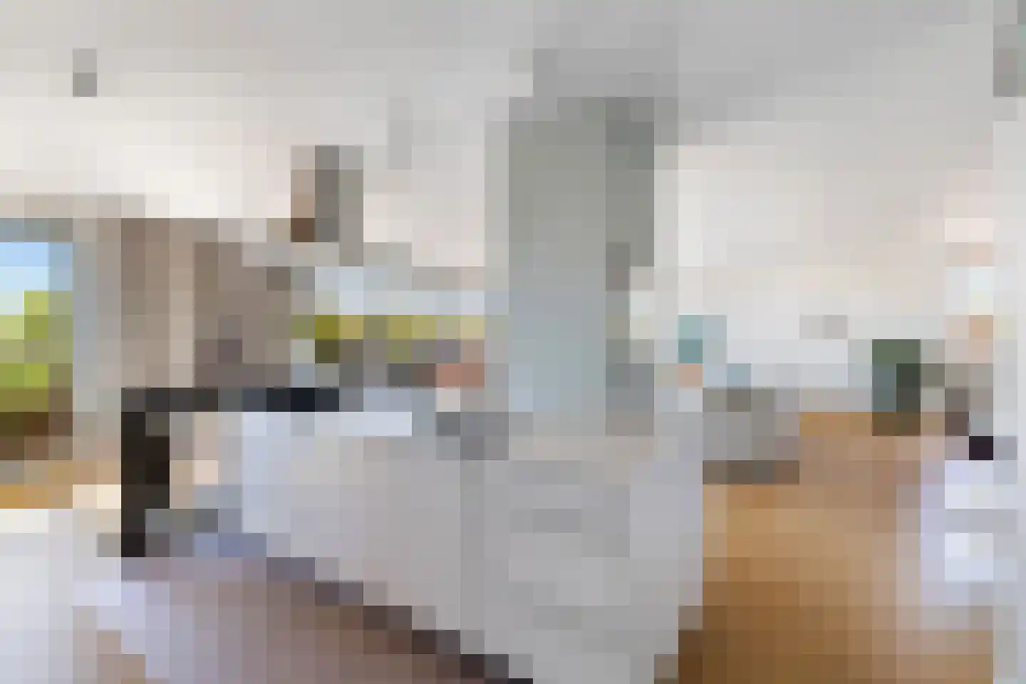 Stormvogelhof 13 Utrecht thumbnail 29