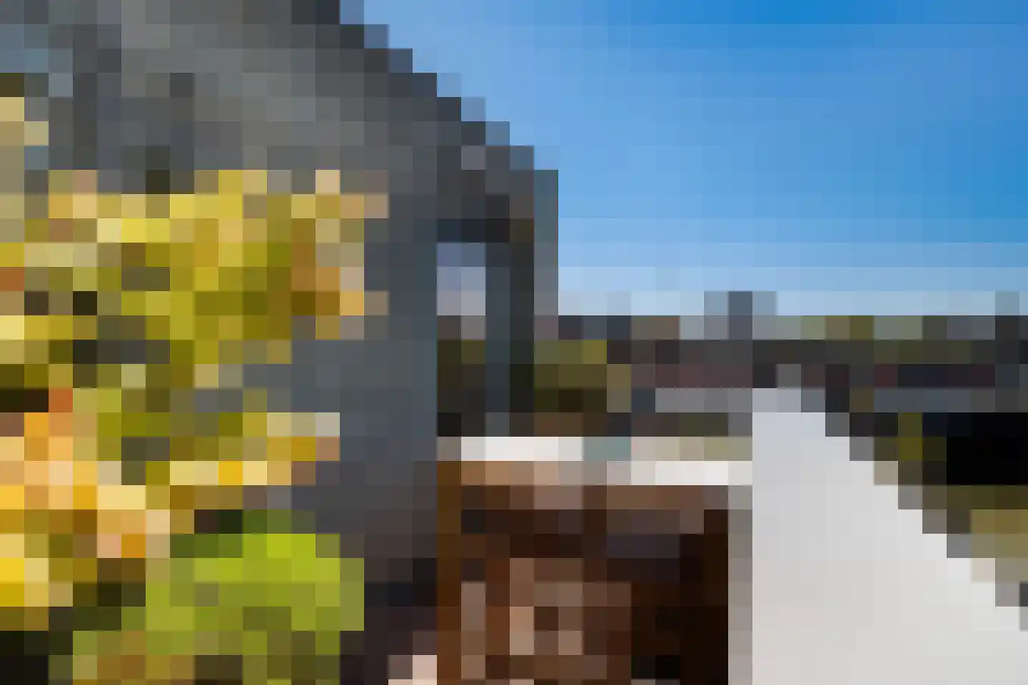 Stormvogelhof 13 Utrecht thumbnail 31