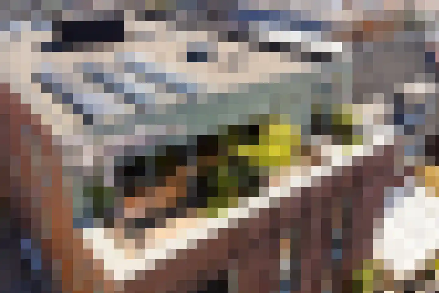 Stormvogelhof 13 Utrecht thumbnail 34