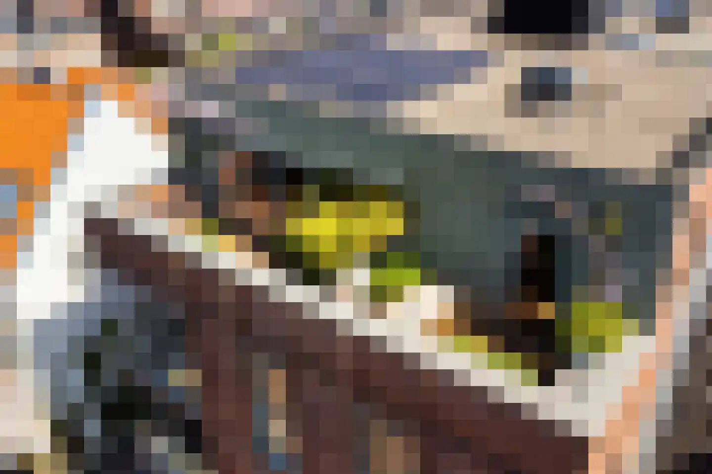Stormvogelhof 13 Utrecht thumbnail 35