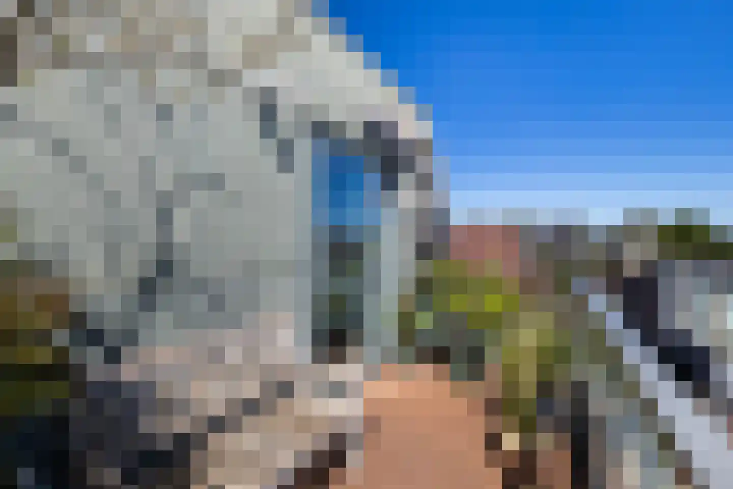 Stormvogelhof 13 Utrecht thumbnail 45