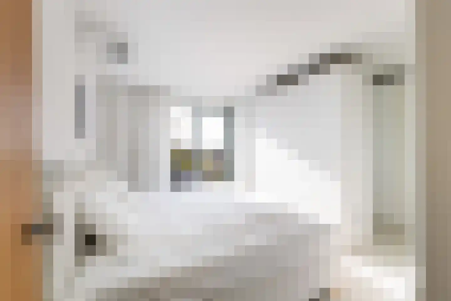 Stormvogelhof 13 Utrecht thumbnail 49