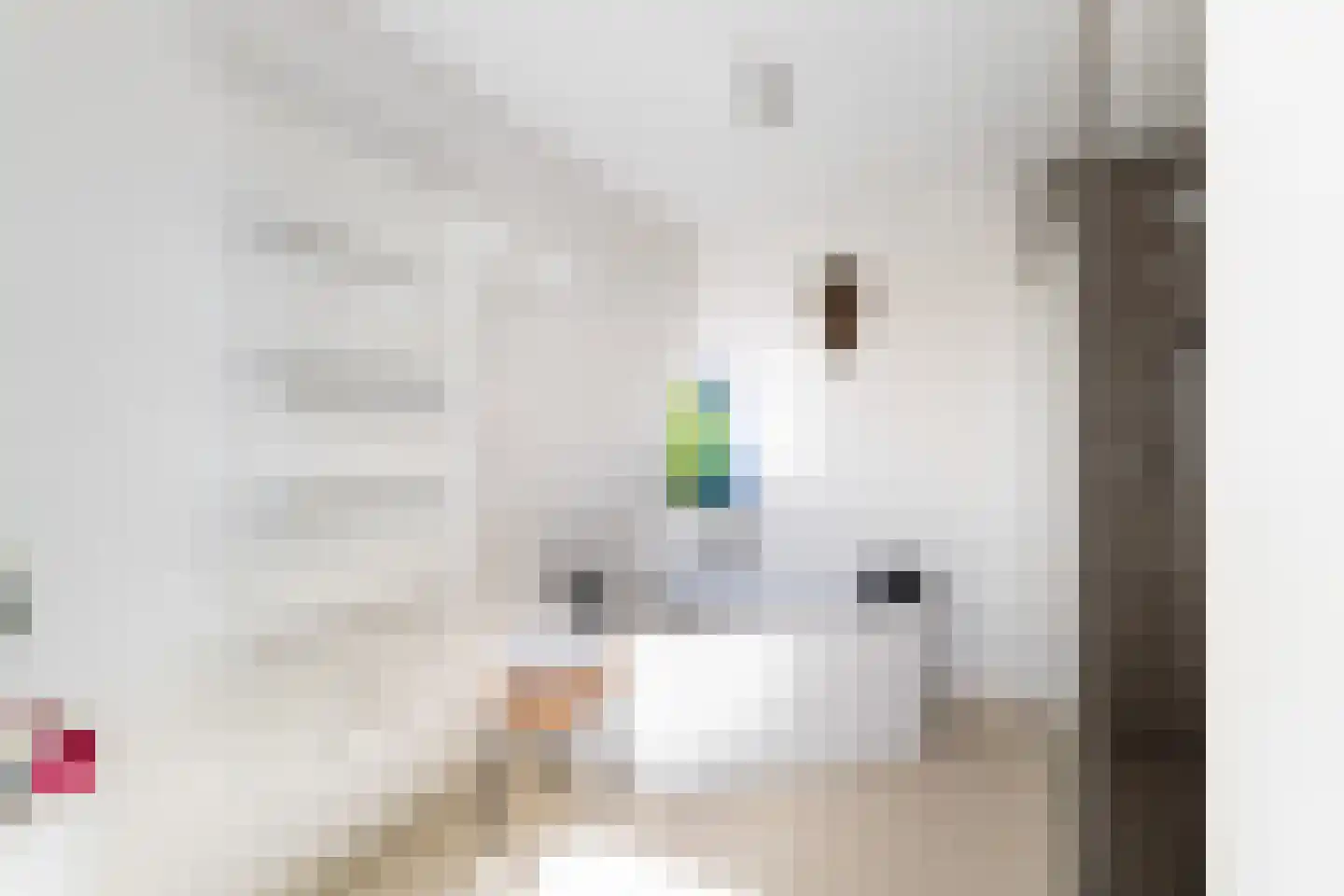 Stormvogelhof 13 Utrecht thumbnail 54