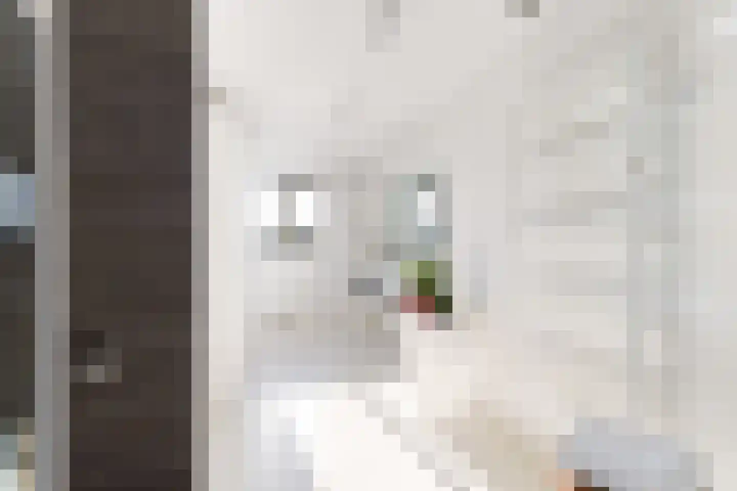 Stormvogelhof 13 Utrecht thumbnail 55