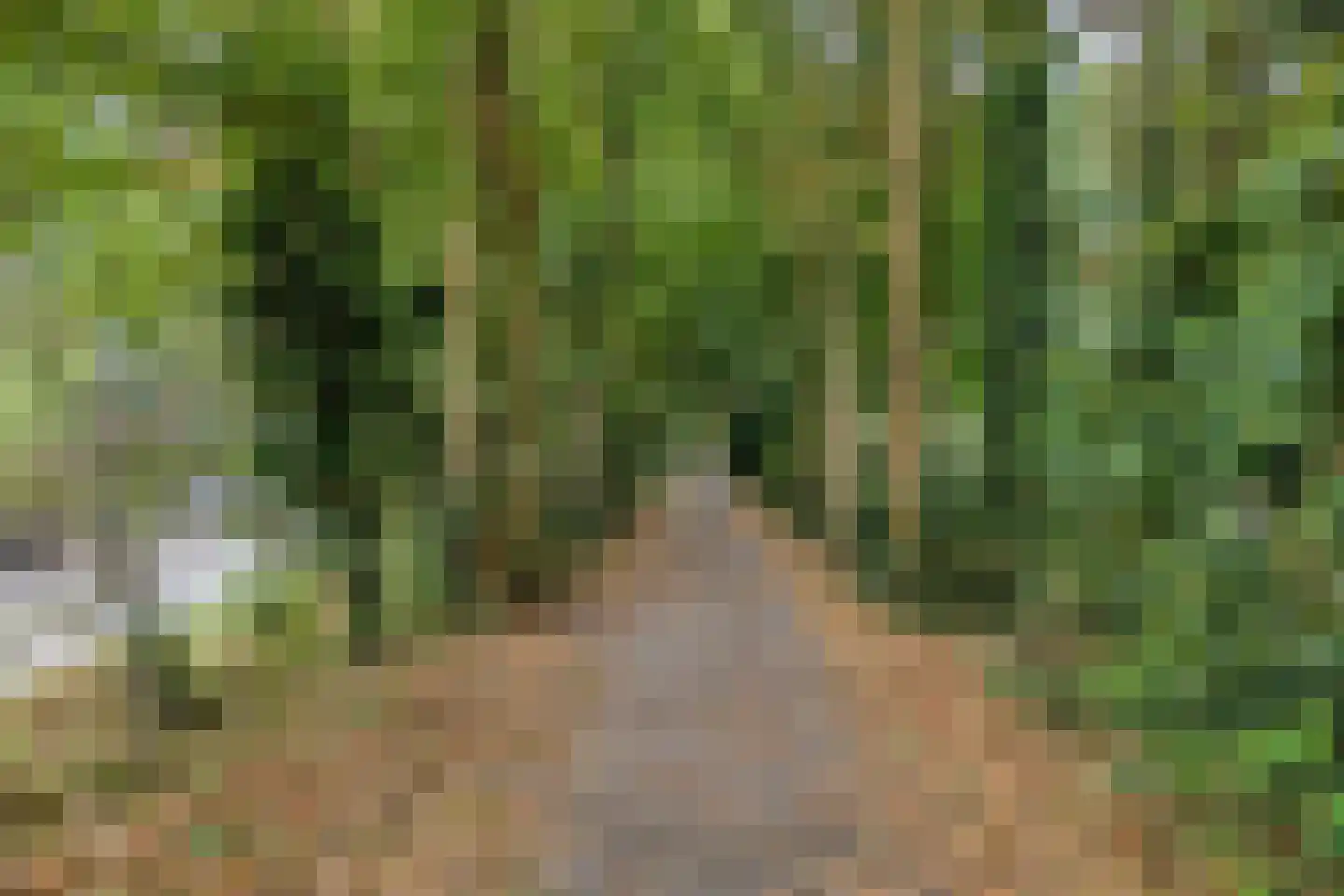 Stormvogelhof 2 Nuenen thumbnail 31