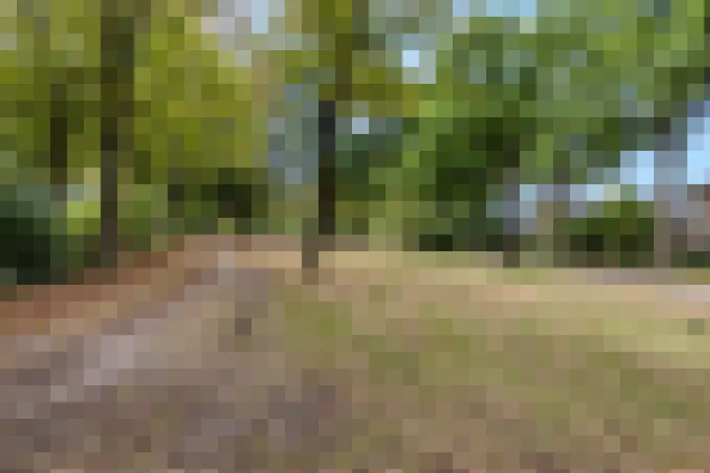 Stormvogelhof 2 Nuenen thumbnail 32