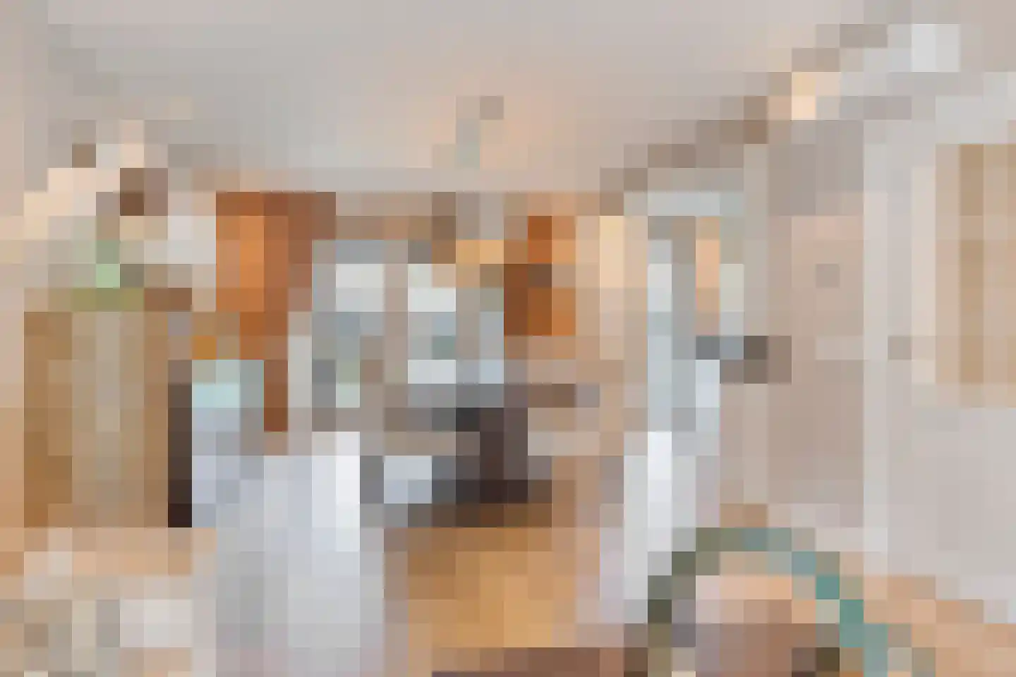 Stormvogelhof 2 Nuenen thumbnail 9