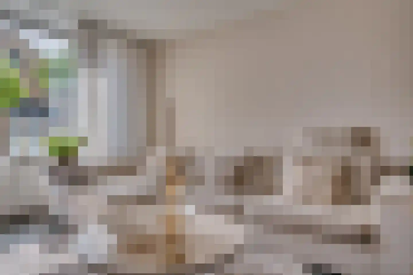Stormvogelstraat 20 Venlo thumbnail 10
