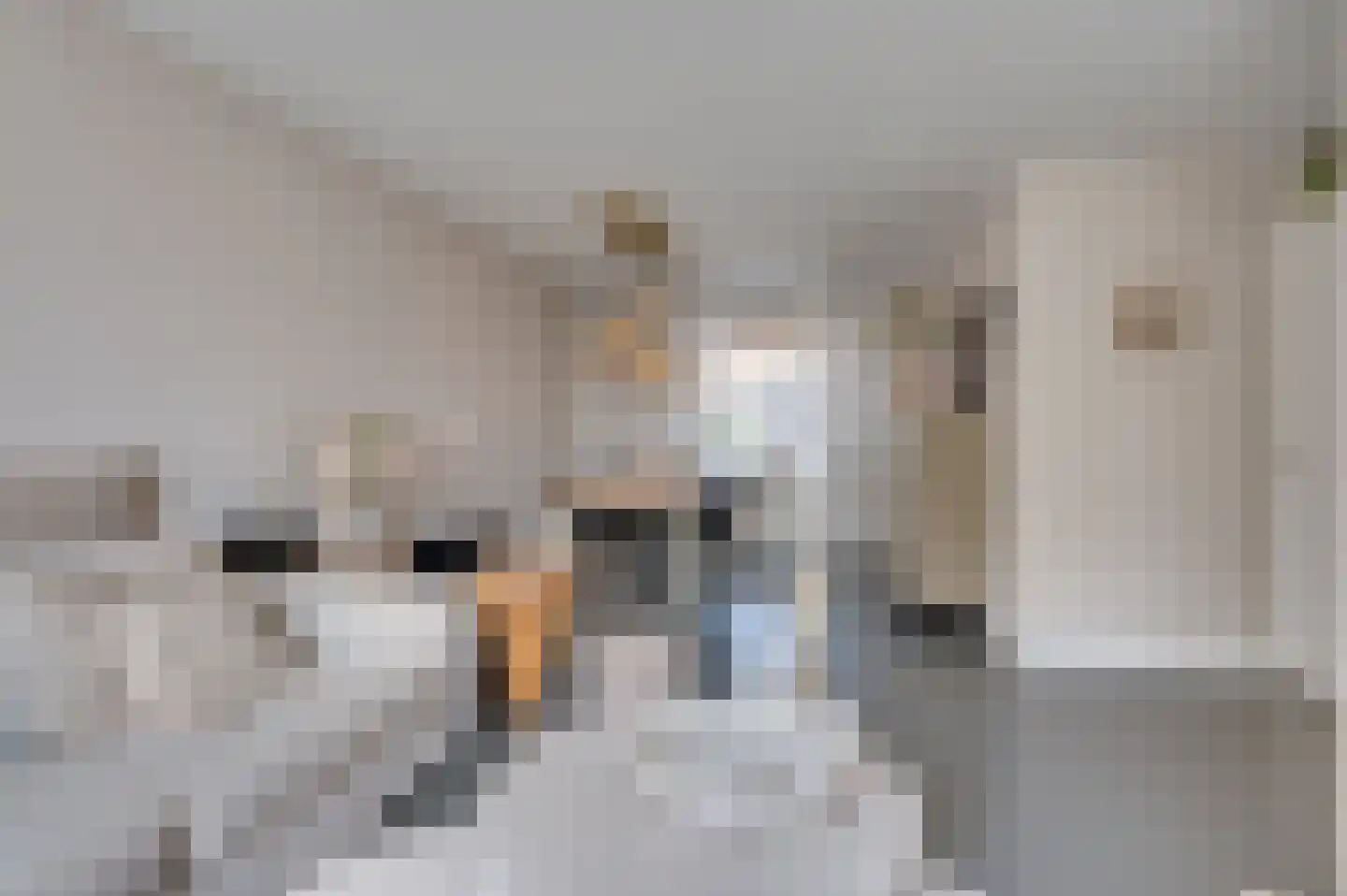 Stormvogelstraat 20 Venlo thumbnail 11