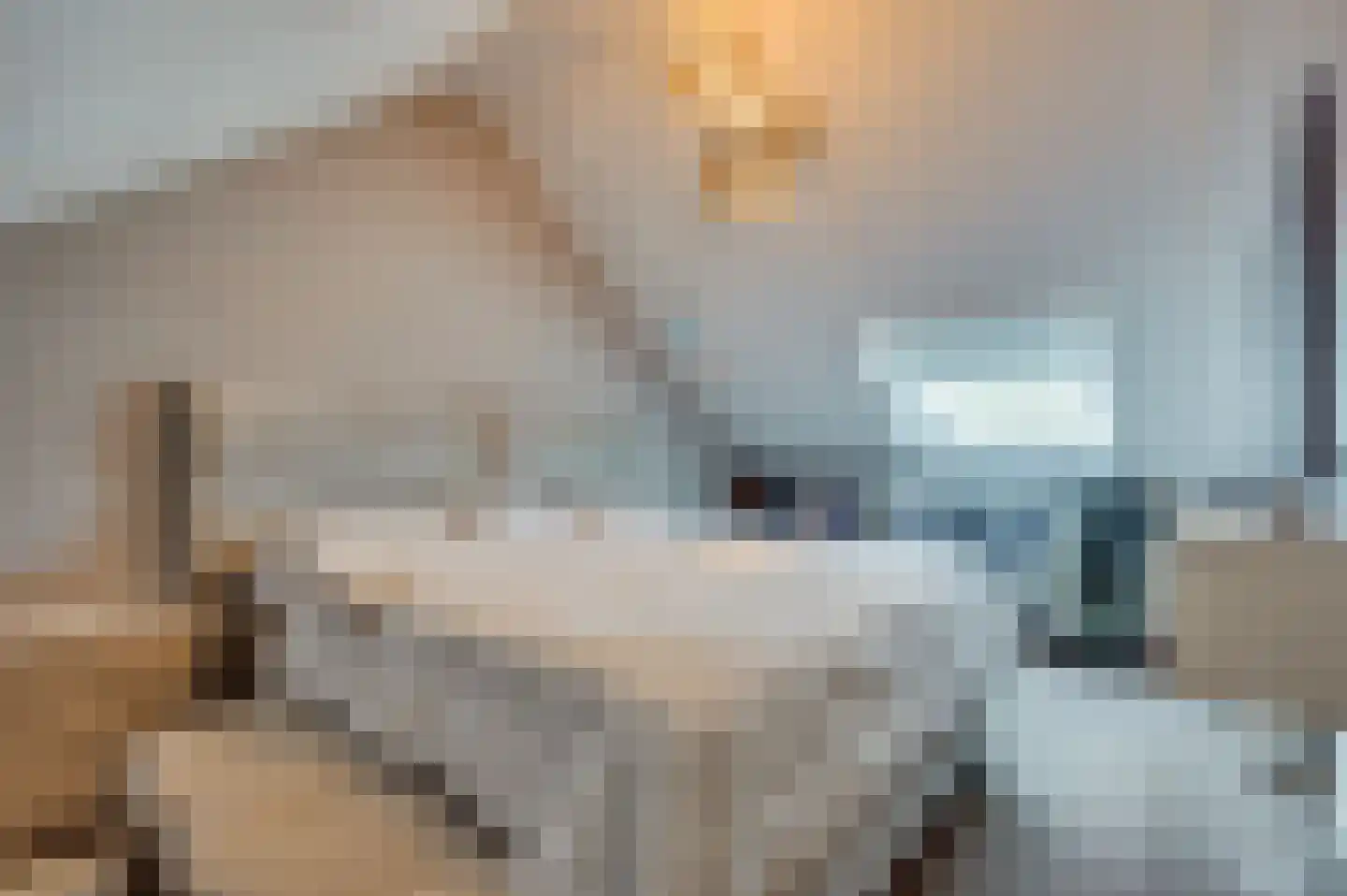 Stormvogelstraat 20 Venlo thumbnail 31