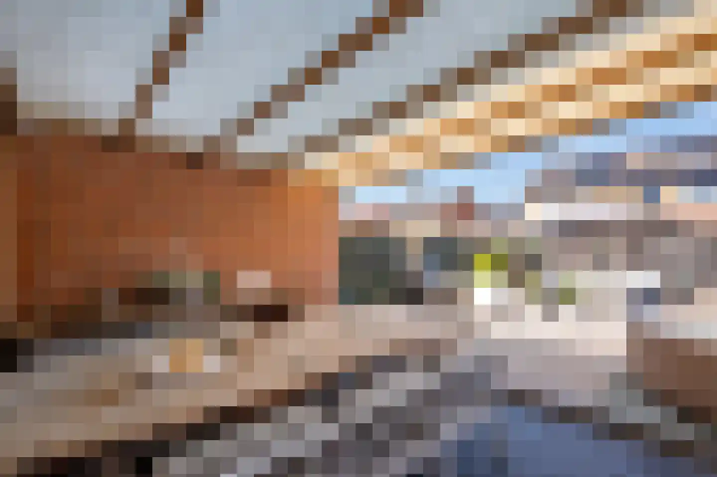Stormvogelstraat 20 Venlo thumbnail 35