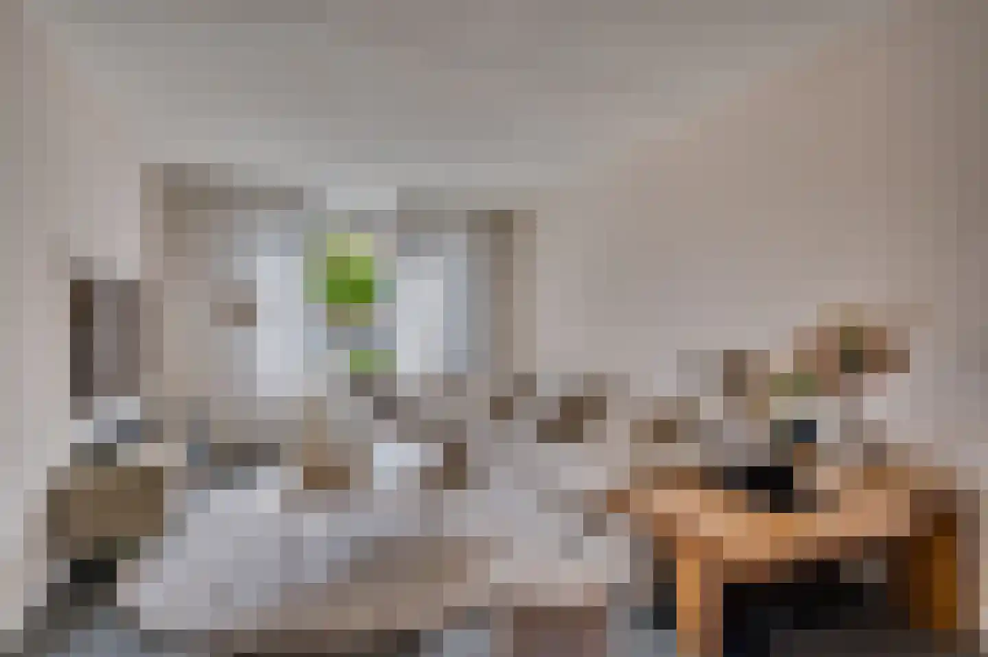 Stormvogelstraat 20 Venlo thumbnail 6