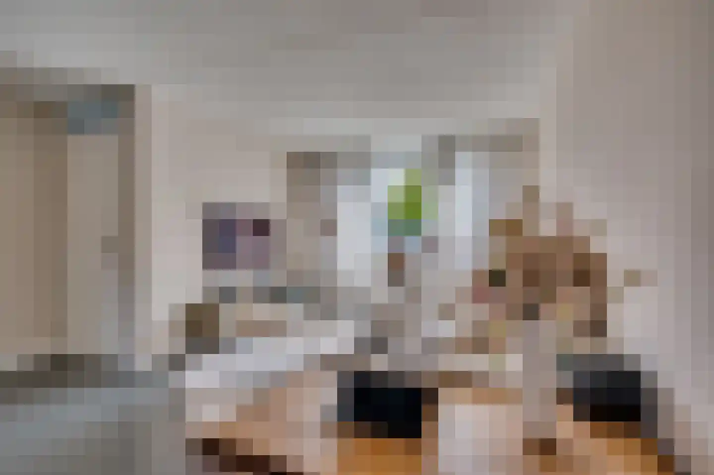 Stormvogelstraat 20 Venlo thumbnail 7