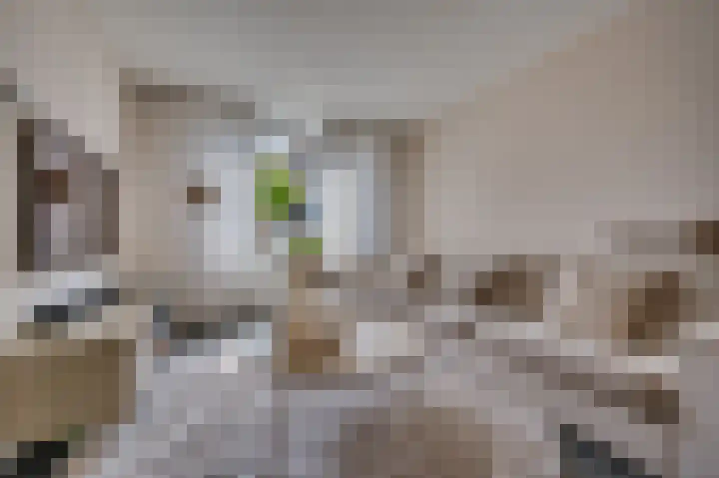 Stormvogelstraat 20 Venlo thumbnail 8
