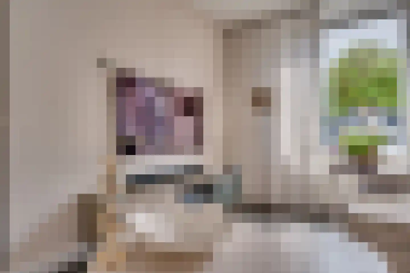 Stormvogelstraat 20 Venlo thumbnail 9