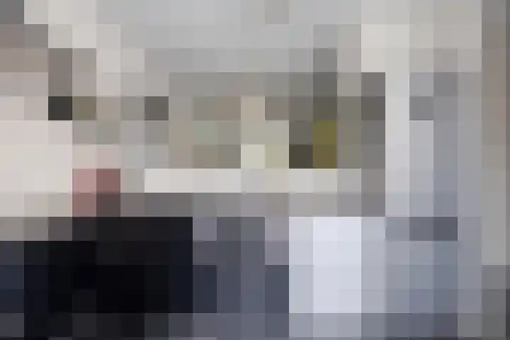 Stormvogelstraat 23 Duiven thumbnail 10