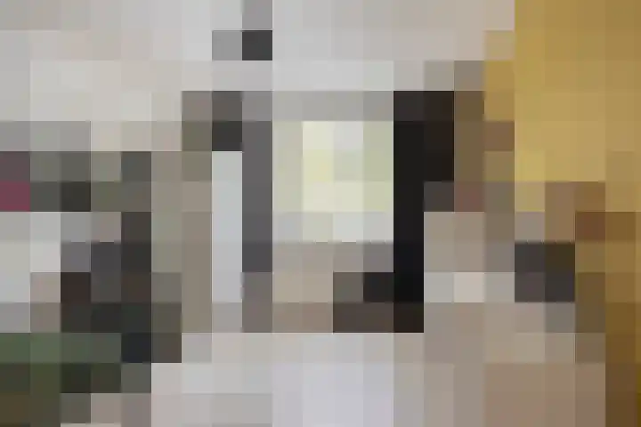 Stormvogelstraat 23 Duiven thumbnail 13