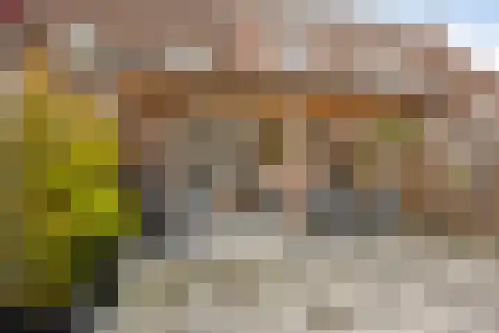 Stormvogelstraat 23 Duiven thumbnail 27