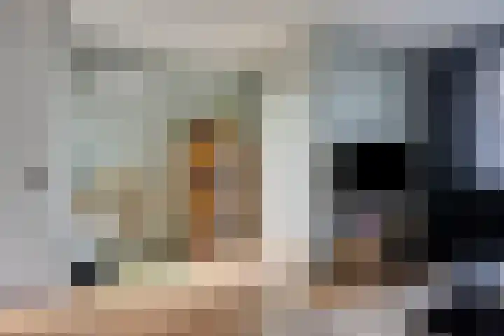 Stormvogelstraat 33 Duiven thumbnail 11
