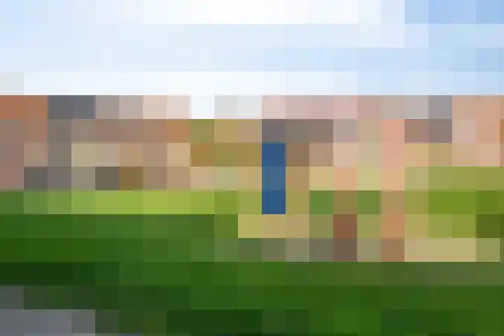 Stormvogelstraat 33 Duiven thumbnail 36