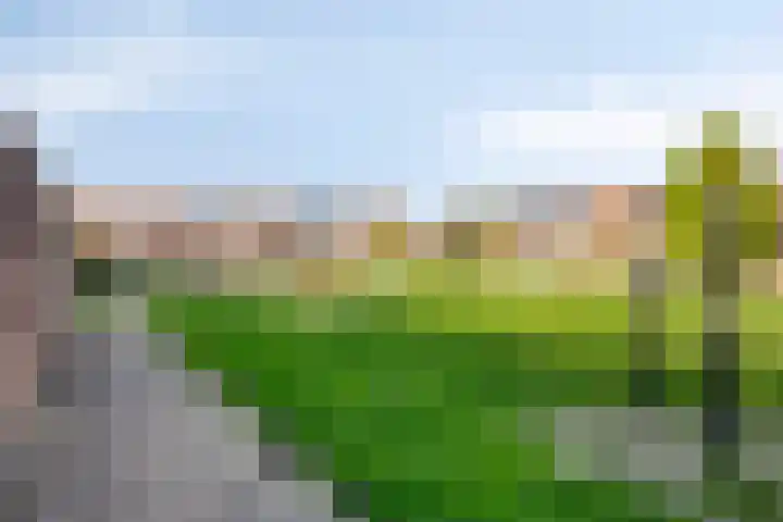Stormvogelstraat 33 Duiven thumbnail 37