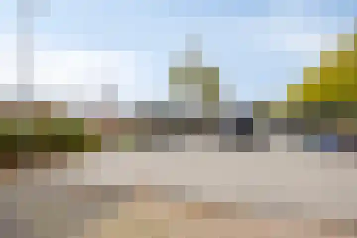 Stormvogelstraat 33 Duiven thumbnail 39