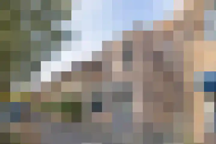 Stormvogelstraat 33 Duiven thumbnail 40