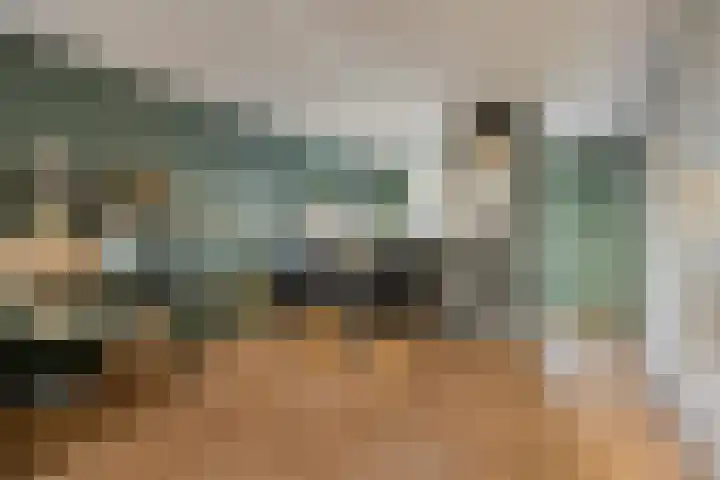 Stormvogelstraat 33 Duiven thumbnail 8