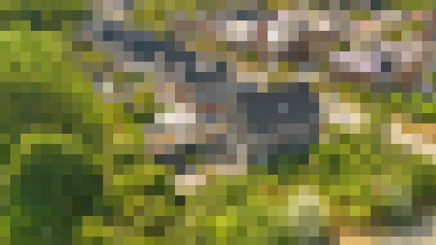 Stormzeil 1 Almere thumbnail 45